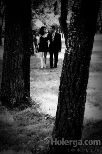 pierduti printre copaci 333x500 Fotografia zilei #59   Printre copaci