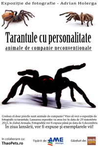 Afis Tarantule Afis Tarantule 200x300 Tarantule cu personalitate Expoziție de fotografie